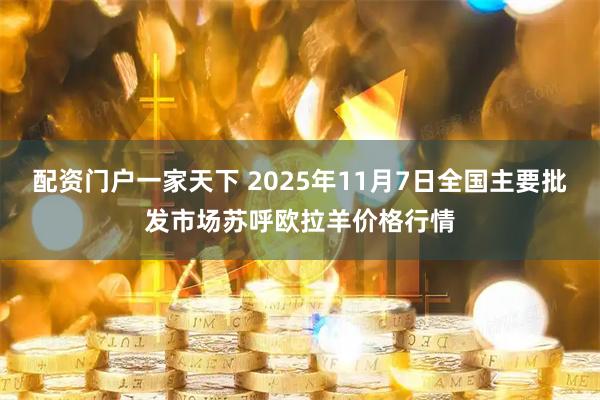 配资门户一家天下 2025年11月7日全国主要批发市场苏呼欧拉羊价格行情