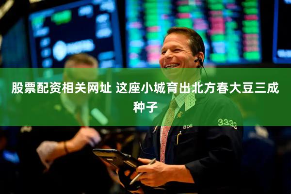 股票配资相关网址 这座小城育出北方春大豆三成种子